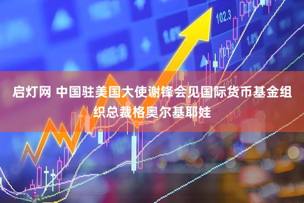 启灯网 中国驻美国大使谢锋会见国际货币基金组织总裁格奥尔基耶娃