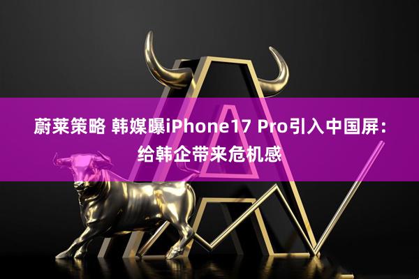 蔚莱策略 韩媒曝iPhone17 Pro引入中国屏：给韩企带来危机感