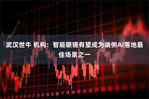 武汉世牛 机构：智能眼镜有望成为端侧AI落地最佳场景之一