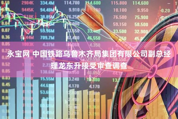 永宝网 中国铁路乌鲁木齐局集团有限公司副总经理龙东升接受审查调查